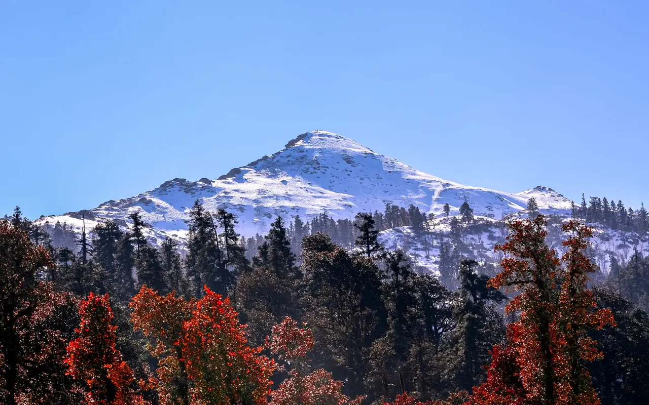 Kedarkantha's snowy summit above a forested hillside