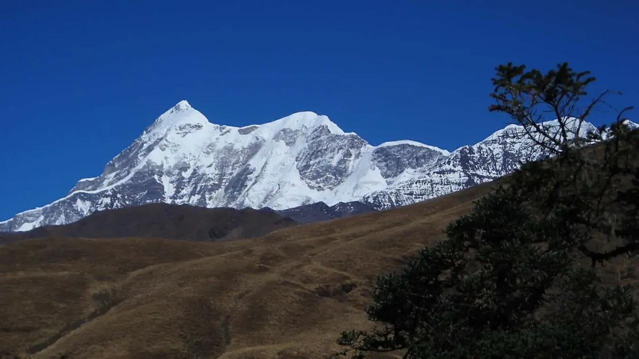Snow-covered Himalayan peaks above a grassy ridge